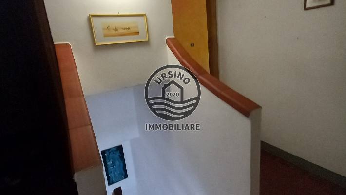 Foto codice 320