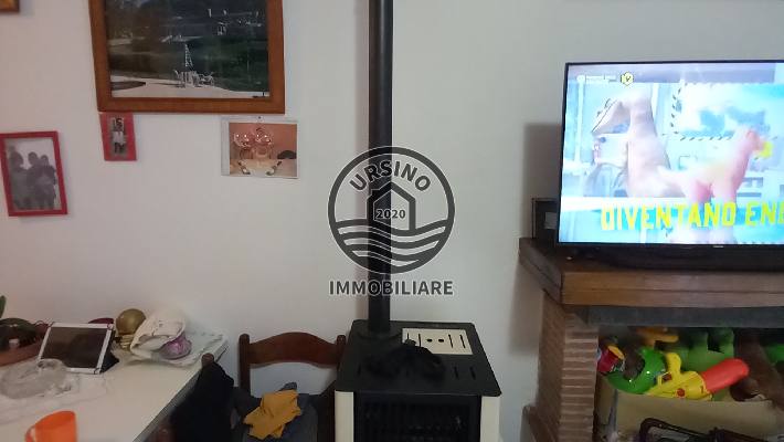 Foto codice 455
