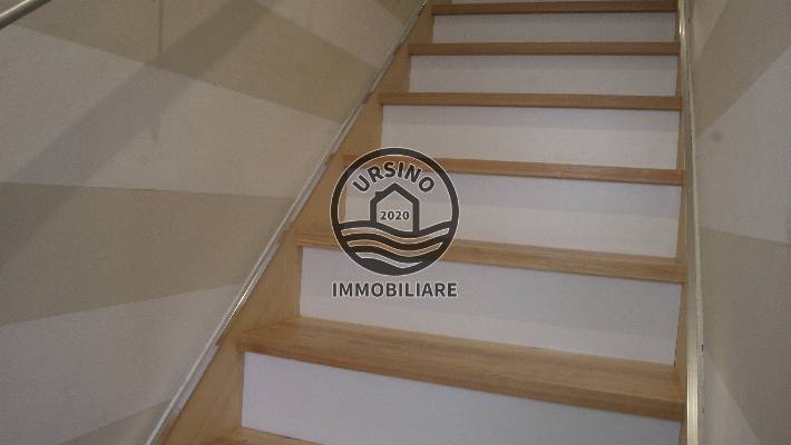 Foto codice 551