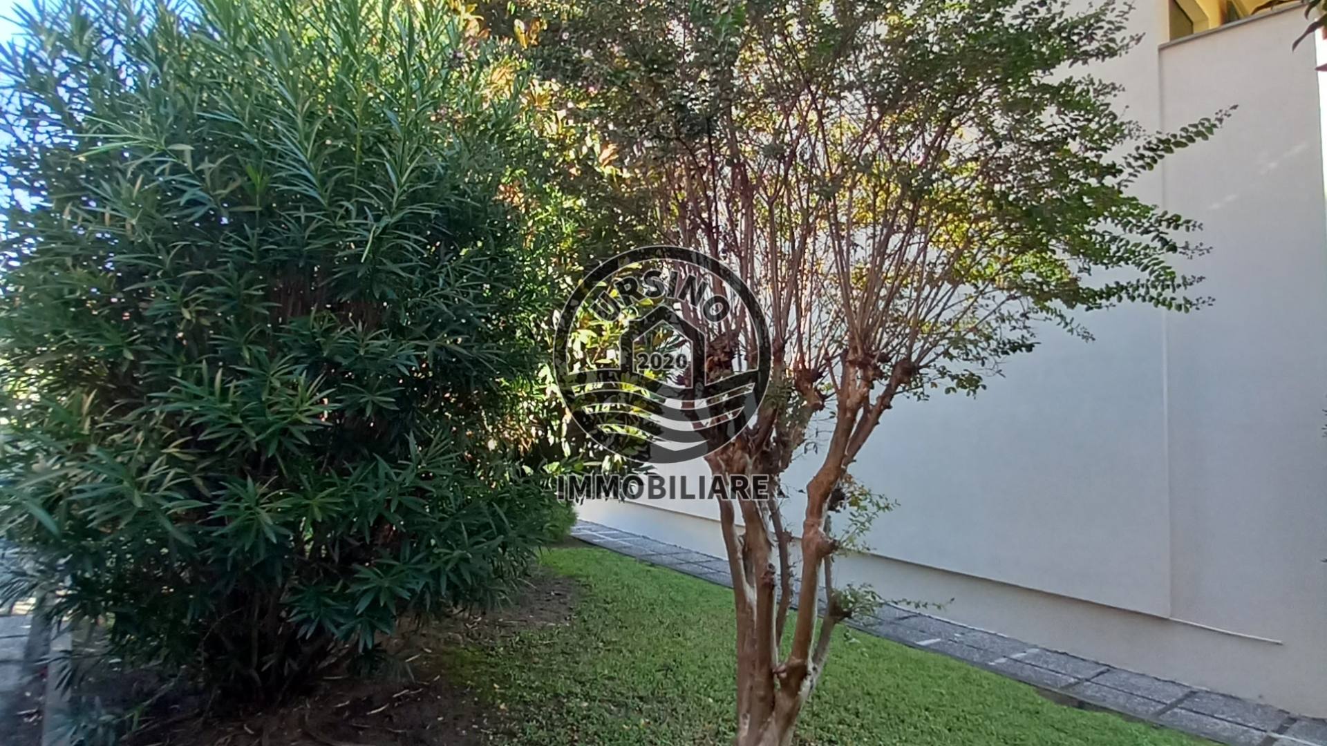 Foto codice 835